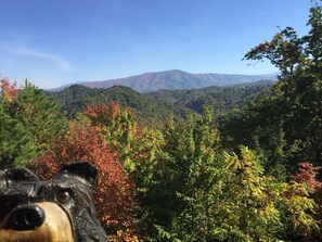 View from front deck