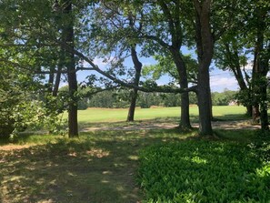 View from backyard onto Wianno golf course, 2nd fairway.