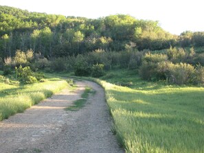 The Road Less Traveled