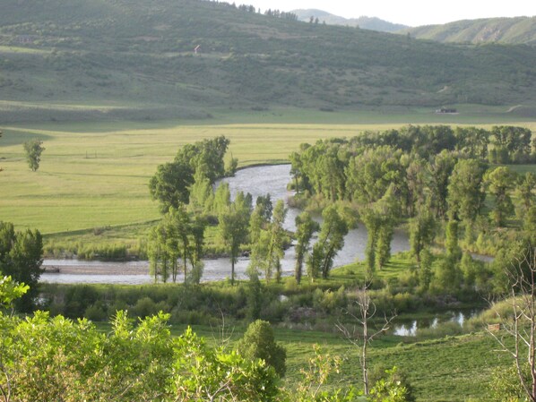 View from Cabin

