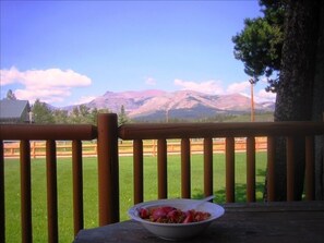 The view from the deck