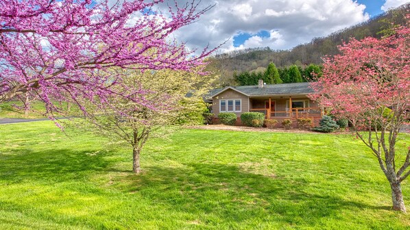 Spring at the Ferguson House with Dogwoods & Red Bud Trees