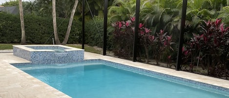 Secluded, tropical backyard with complete privacy!  Brand new pool and spa 