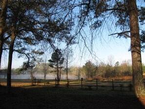 View from back of house.