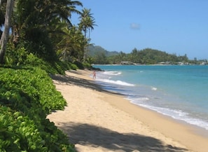 Take a stroll along the private beach