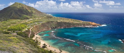 Hawaii Kai Marina Front Home Located Near World Class Hanauma Bay Marine Sanctuary