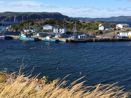 Port de plaisance