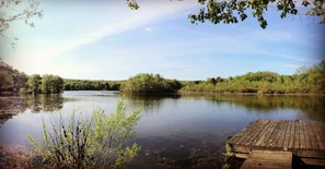 Panorama from lawn