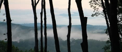 Morning mist view from the screened in porch