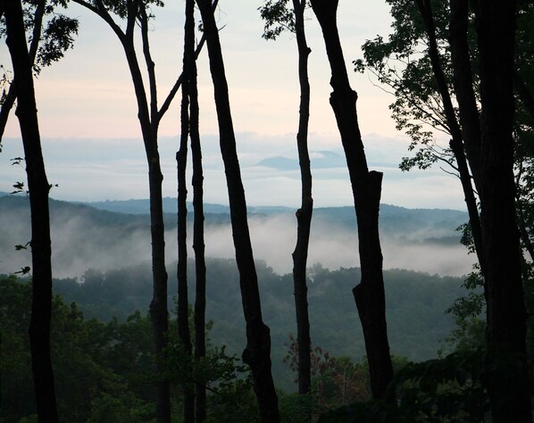 Morning mist view from the screened in porch