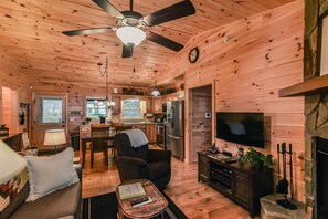 Living room and kitchen