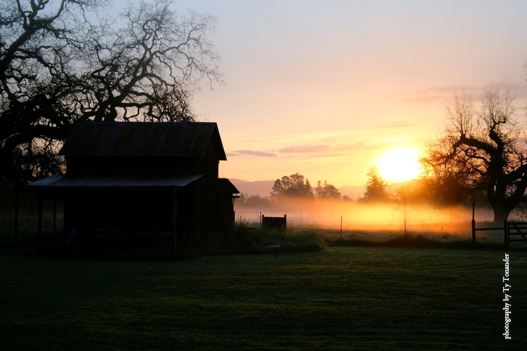 Picture of villa
