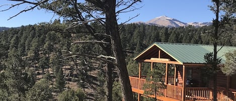 Located on a peaceful mountainside this cabin is your perfect get-away!