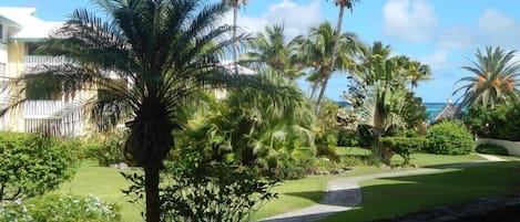 View from condo