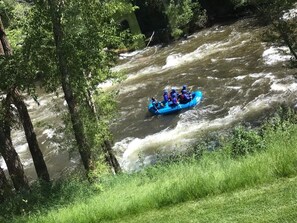 Summer view of Eagle River from home with river at it's high point