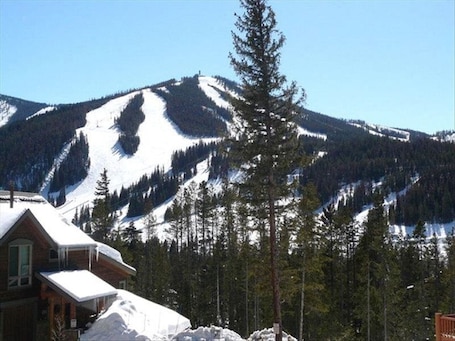 Winter View