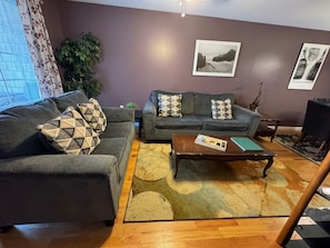 Cozy and Comfy Living Room
