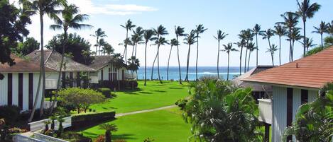 Ocean View from the Lanai