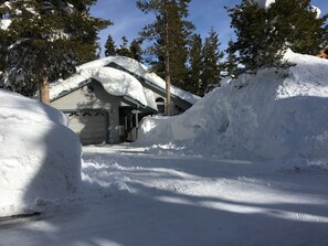 Winter 2016-17.  Glad for the flat driveway!
