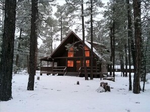 A winter wonderland in the tall ponderosa pines that backs to national forest