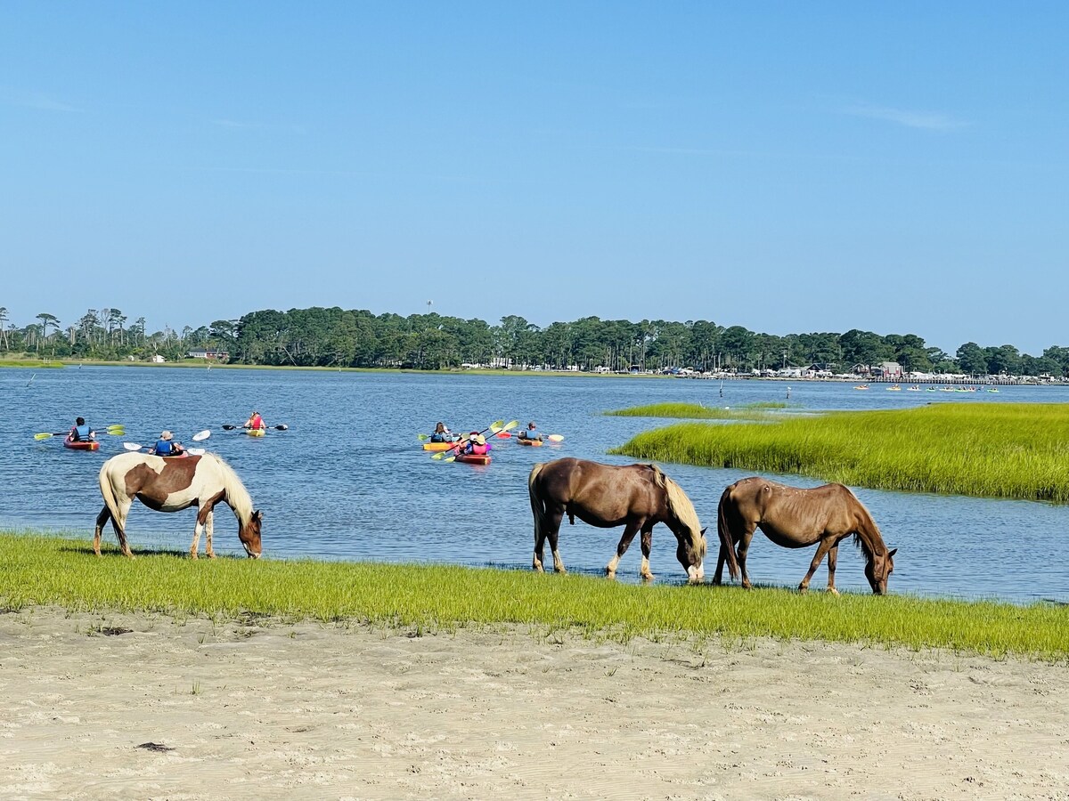 2BR Snug Harbor Waterfront Cottage with the Most Spectacular View of lighthouse