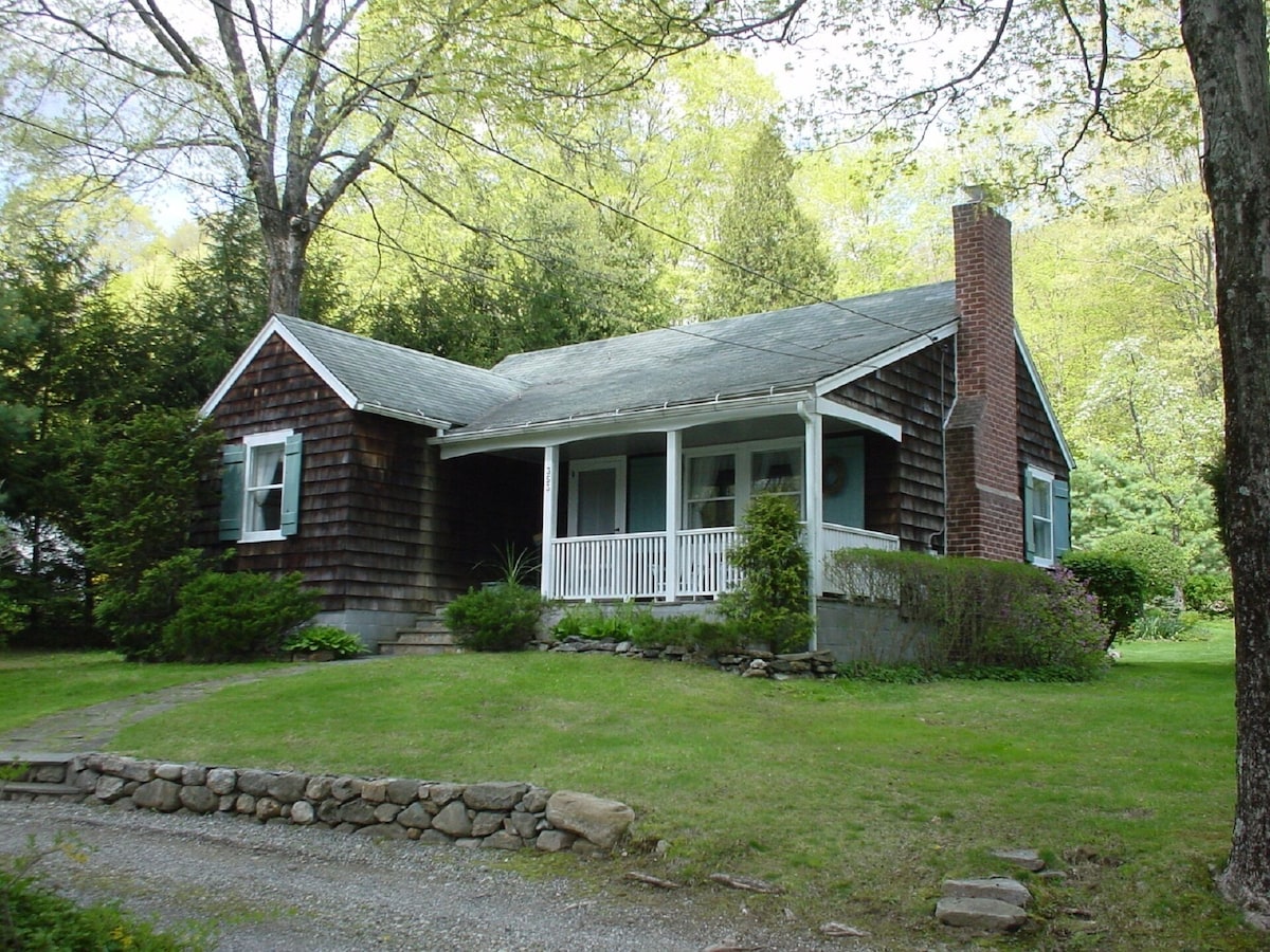 Main Image