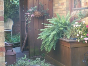 More of our lush gardens!