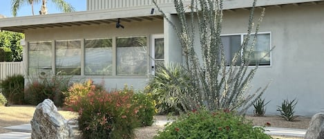 Beautiful desert landscaping in front of house 