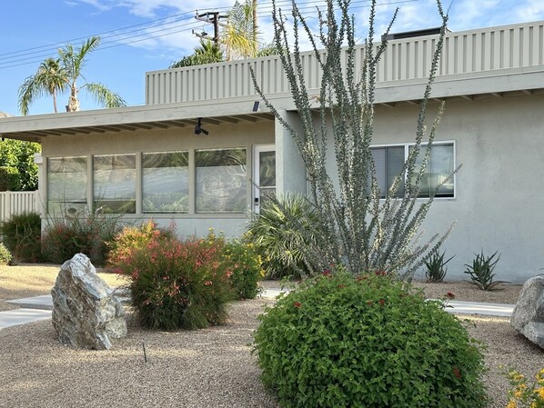 Beautiful desert landscaping in front of house 