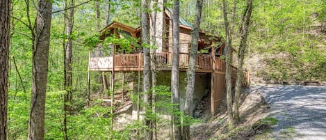 Pigeon Forge Cabin Rental - Deer to Dream