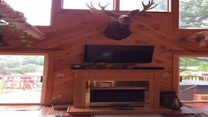 Gas fire place in living room