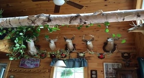 Deer mounts on living room wall