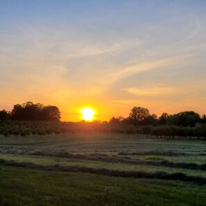 Sunset views!  Hay fields surround the back/side of the property