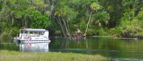 Main Dive Springs Behind House