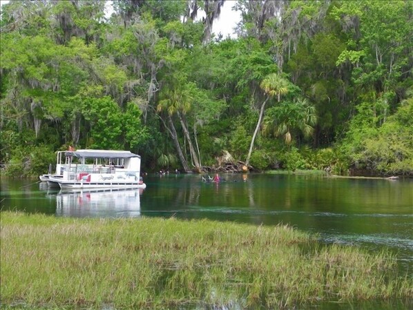 Main Dive Springs Behind House