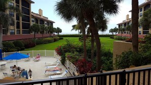 garden / pool