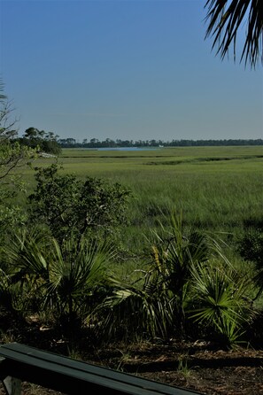 Views of the Waterway.  Watch the boats coming and going.