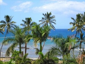 Kalama Beach Park as seen from  unit (sunny day)