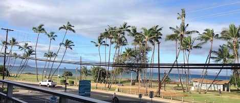 view from the living room, on a typical Maui day