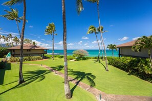 manicured grassy beachfront lawn