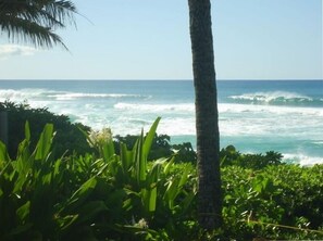 view of Rocky Point + Monster Mush from the front deck