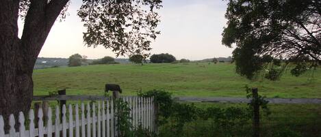 View from the Farmhouse porch