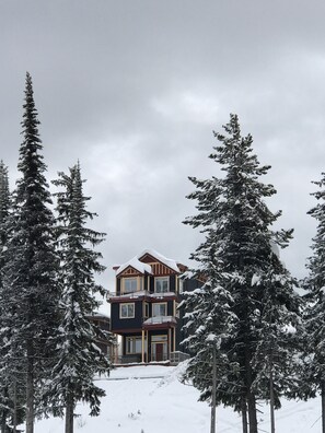 Rear view of home