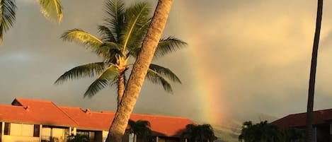 Rainbow over The Papakea...
somewhere over the rainbow.... way up high . . .!!!