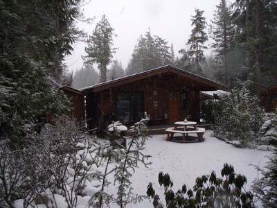 A Wild Coast Chalet ~ with sunny outlook and beautiful tree views