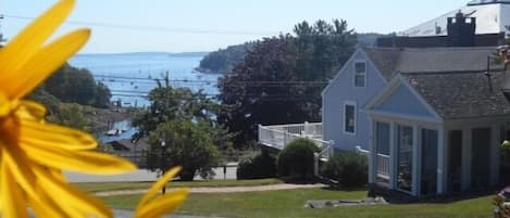 from our upper lawn, the view of the house overlooking the harbor.