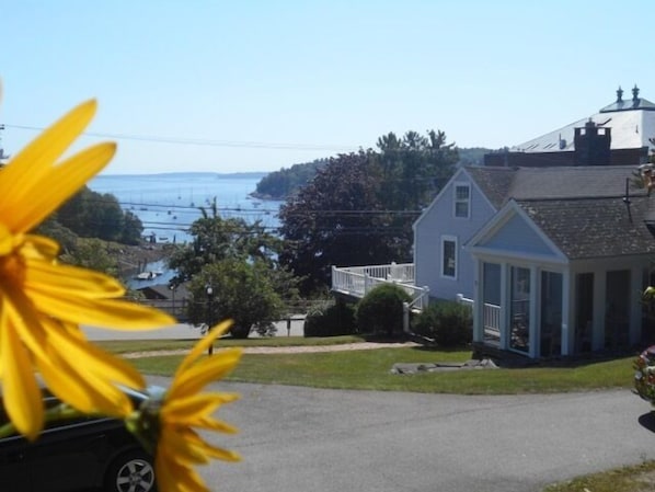 from our upper lawn, the view of the house overlooking the harbor.