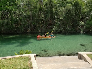 Steps provide easy access from the patio into the Weeki Wachee River. Beautiful!