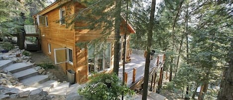 The Hummingbird Raven  House is surrounded by forest.