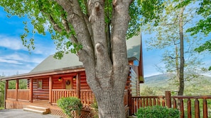 Beautiful mountain view from the deck!